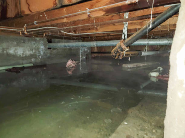 Best 24/7 water damage repair  in Garyville, LA