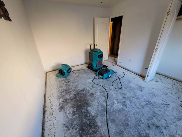 Best Water damage cleanup near me  in Garyville, LA
