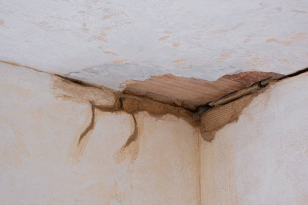 Water damage restoration mold remediation in Garyville, LA
