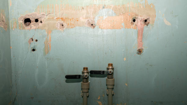 Best Water damage repair service  in Garyville, LA