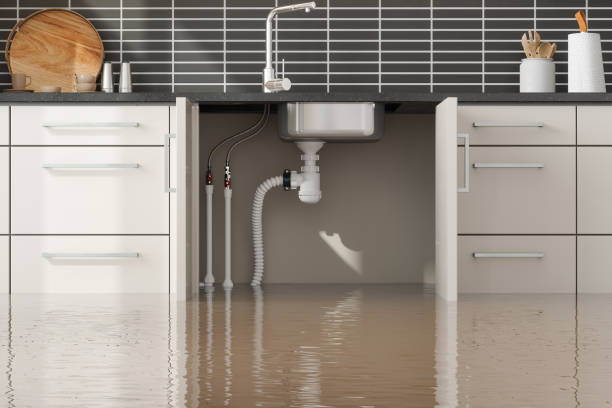 Best Water damage contractors near me  in Garyville, LA